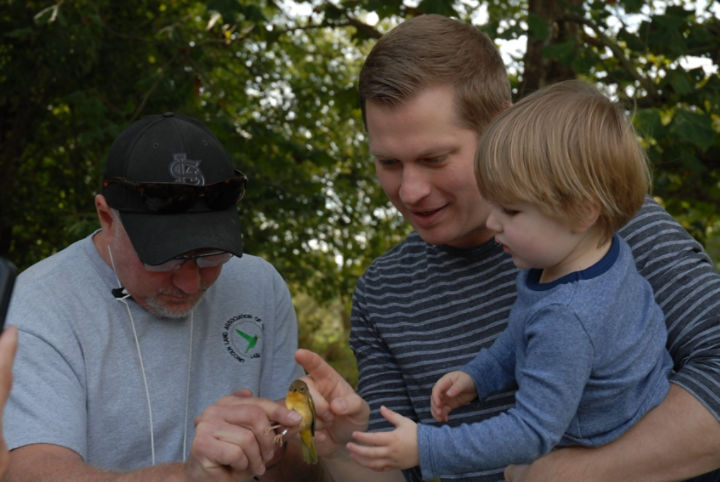 Bird banding